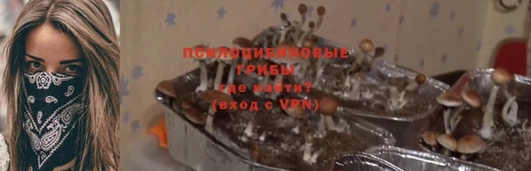 apvp Алексеевка