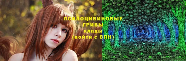 прущие грибы Алексин