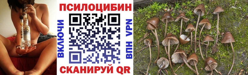 Галлюциногенные грибы мухоморы  Орёл 